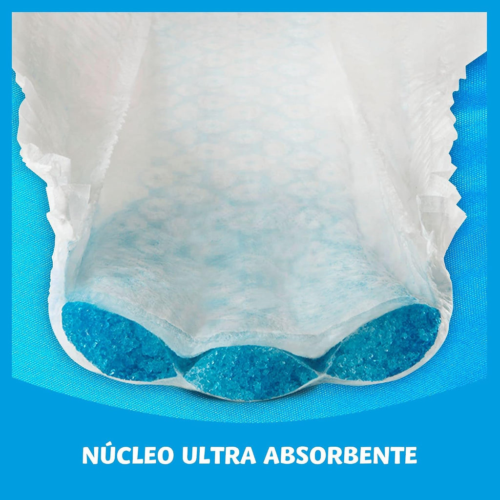 Dodot Pañales Bebé-Seco, Size 4 (9-14 kg), 256 Diapers + 1 Pack of 10 Aqua Plastic Free Wipes Gift