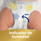 Dodot Pañales Bebé Sensitive, Talla 1 (2-5kg), 224 Pañales + 1 Paquete de 40 Toallitas de Aqua Plastic Free de Regalo